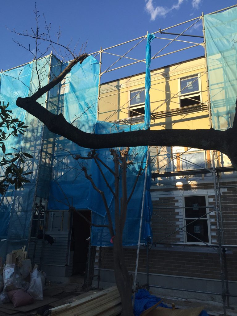 3月完成予定 (仮称)プリマ栗田谷 2 外構 植木