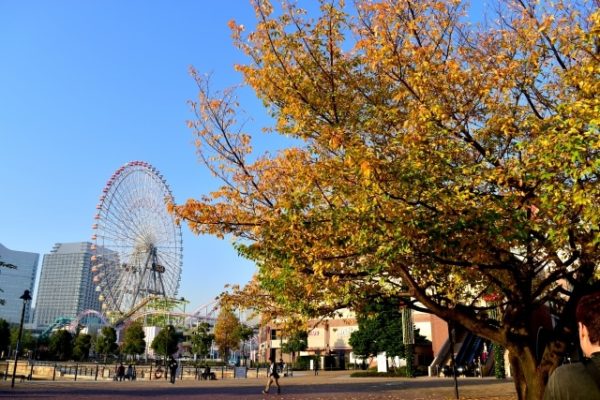 秋の横浜みなとみらい