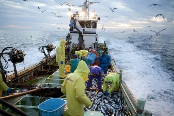 フィッシャーマン＝漁師イメージ