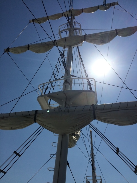 賃貸経営をコントロールする手段とは|賃貸経営におけるペンタグラム戦略~その5 1 デザイナーズアパート PRIMA