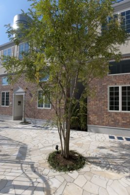 賃貸、アパート、プリマ、差別化、マンション、外観、デザイン、デザイナーズ、お洒落、可愛い、女性専用、PRIMA、木造、建替え、新築、建築、神奈川、横浜、一人暮らし