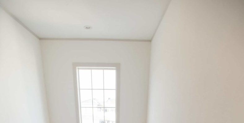 PRIMAの影の立役者、建築デザインの「モールディング」とは 2 お洒落、アパート、マンション、PRIMA