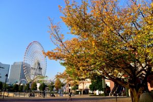 秋の横浜みなとみらい