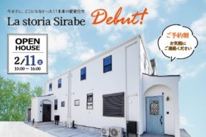 shirabe Banner 1